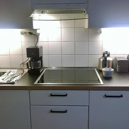 Jokioinen-forssa 48m2 아파트